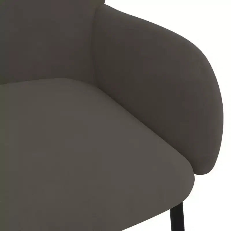 vidaXL Dining Chair Set of 2 Dark grey