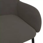 vidaXL Dining Chair Set of 2 Dark grey